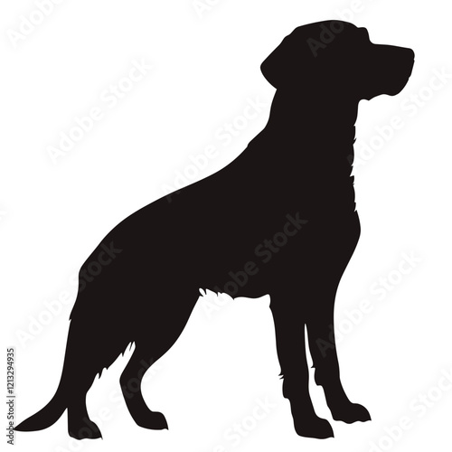 Silhouette of a standing dog