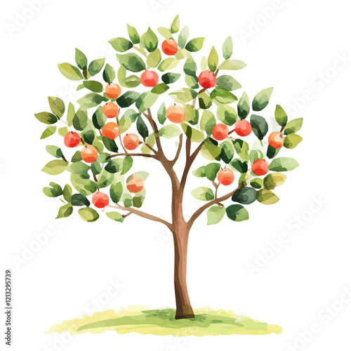 Sapucaia Tree with Fruit | Lush Watercolor Flat Vector Illustration.  
