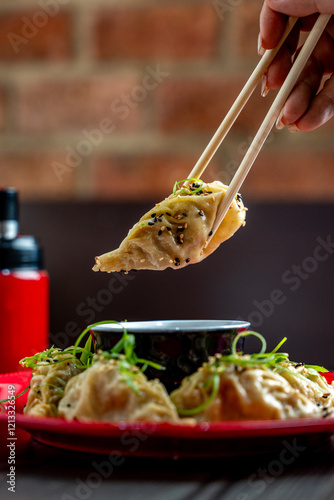 Golden Gyozas on a Rustic Plate photo