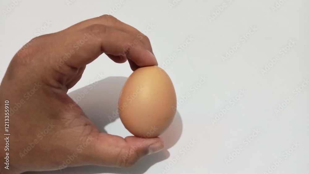 Hand holding a chicken egg. Chicken eggs. brown hand holding egg. Hand holding a chicken egg. Chicken eggs. brown hand holding egg.