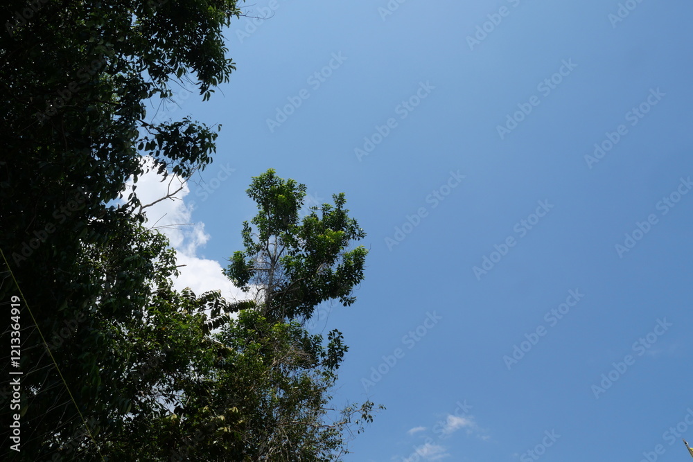 Summer blue sky, rainy season, gradient clouds, bright white and blue background. The beauty of bright clouds in the sun, the calm and clear winter air. The gloomy blue-green landscape in the environm Summer blue sky, rainy season, gradient clouds, bright white and blue background. The beauty of bright clouds in the sun, the calm and clear winter air. The gloomy blue-green landscape in the environm