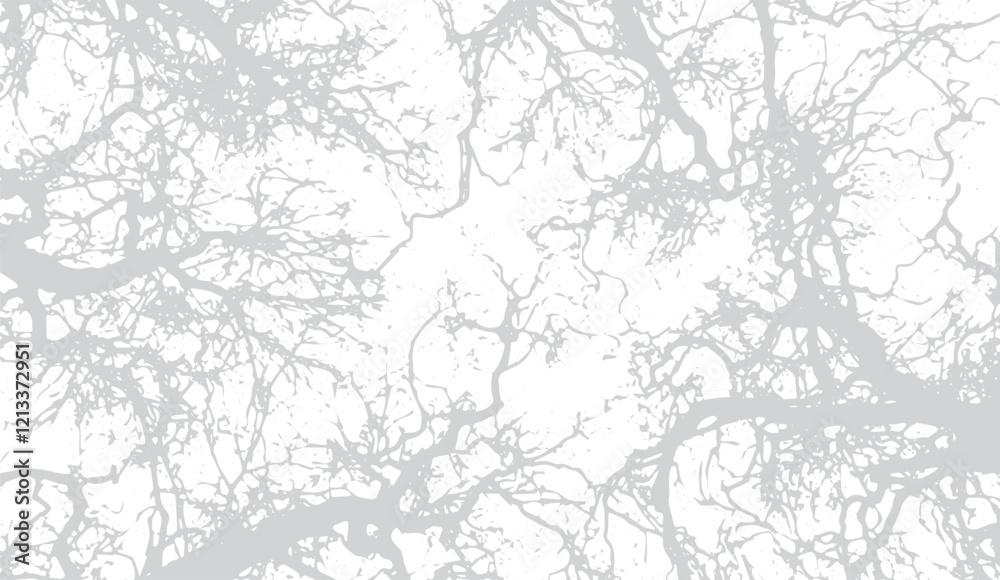 Intertwined Branches, A Monochromatic Abstract of Nature's Delicate Network Against a Stark White Canvas, Showcasing the Beauty of Bare Trees in a Minimalist Style Intertwined Branches, A Monochromatic Abstract of Nature's Delicate Network Against a Stark White Canvas, Showcasing the Beauty of Bare Trees in a Minimalist Style