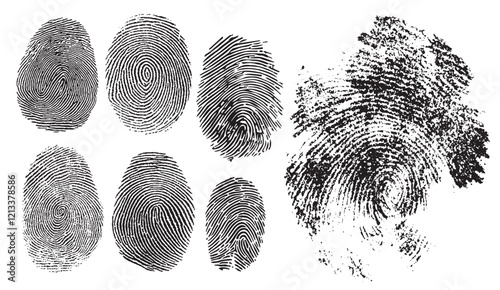 A Collection of Unique Fingerprint Patterns Showing Both Clear Detailed Ridges and A Blurred Smudged Print on a White Background, Illustrating Individuality and Identification