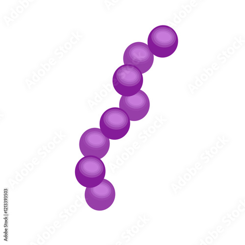 Streptococcus pneumoniae bacteria