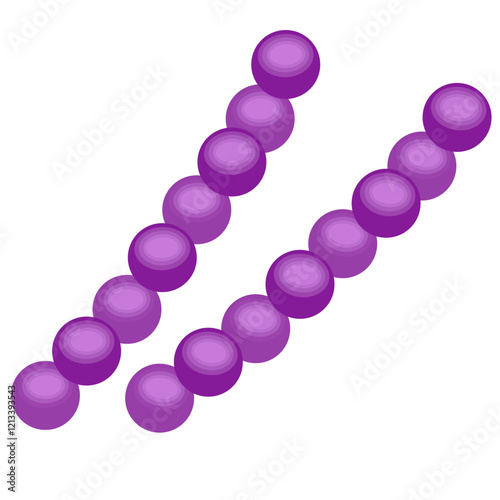 Streptococcus pneumoniae bacteria