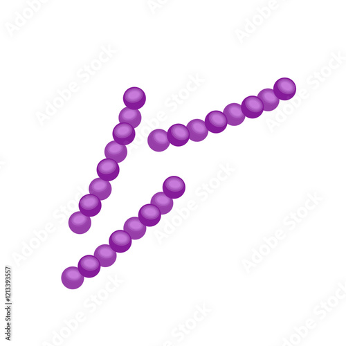 Streptococcus pneumoniae bacteria