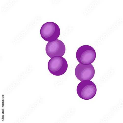 Streptococcus pneumoniae bacteria