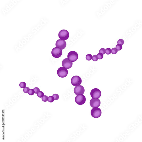 Streptococcus pneumoniae bacteria