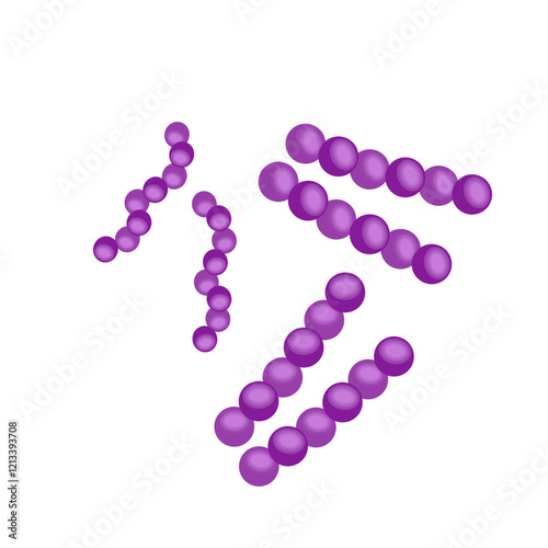 Streptococcus pneumoniae bacteria