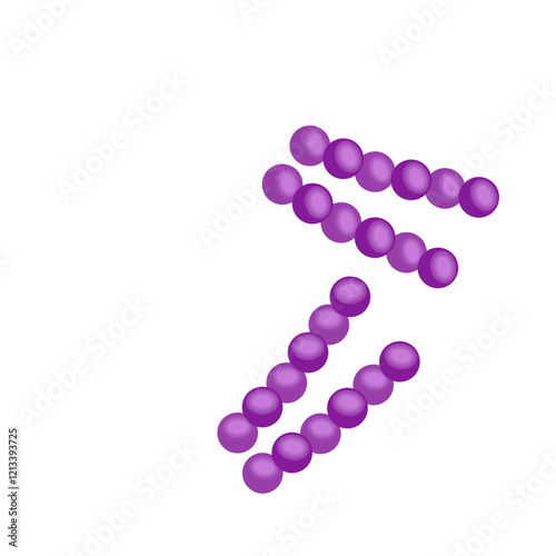 Streptococcus pneumoniae bacteria