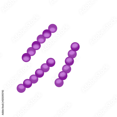 Streptococcus pneumoniae bacteria