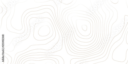 Abstract lines background. Contour maps. Topo contour map on white background. Abstract background with waves Geographic mountain relief.
