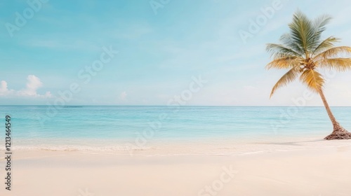 panoramic view of Tranquil Tropical Beach with Palm Trees and Clear Blue Sky

