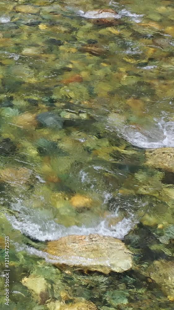 Vertical video of water and stones of Altai river Bashkaus. The camera looks down and moves along the river. Vertical video of water and stones of Altai river Bashkaus. The camera looks down and moves along the river.