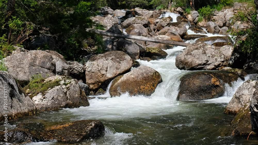 Video of the Altai mountain river Verkhniy Kulash, the right tributary of the Chulyshman. On the river banks there is siberian larch taiga forest. Video of the Altai mountain river Verkhniy Kulash, the right tributary of the Chulyshman. On the river banks there is siberian larch taiga forest.