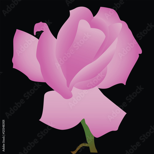 Realistic Natural Rose Vector Illustration photo