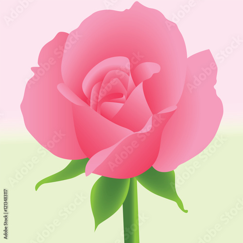 Realistic Natural Rose Vector Illustration photo