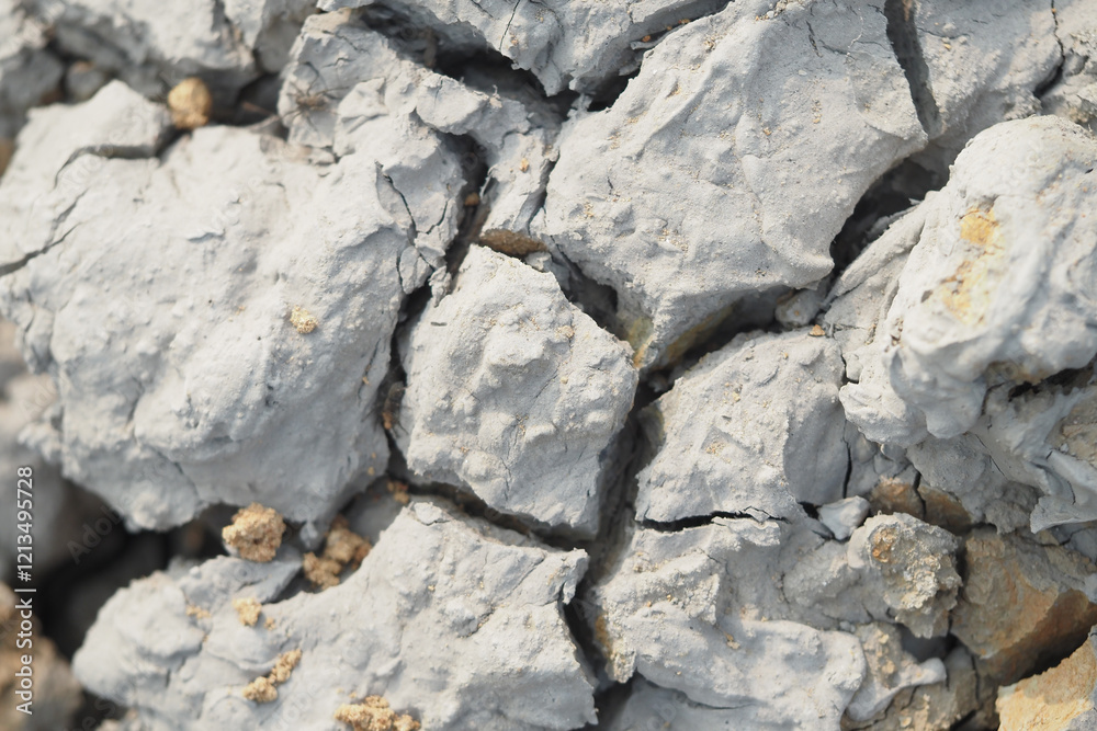 Fototapeta premium A Detailed Cracked Earth Texture Perfect for Natural or Desert Landscapes