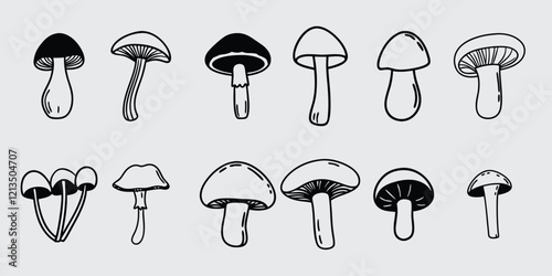 Big collection of mushrooms silhouette. Vector illustration large set of mushroom
