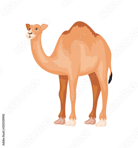 camel desert animal