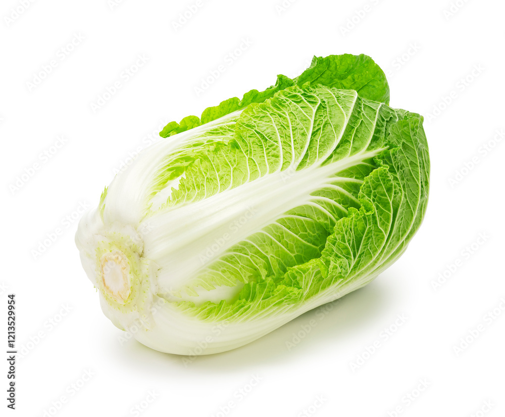 Fresh Chinese Cabbage Isolated on White Background Fresh Chinese Cabbage Isolated on White Background