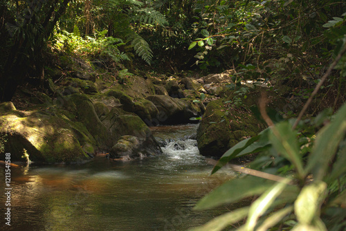 waterfall in the forest