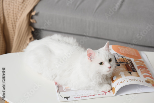 Cute white cat with magazin...