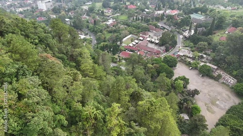 aerial forest view