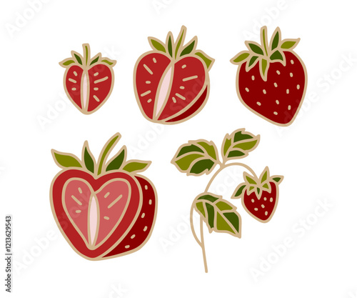 Vintage romantic hand drawn strawberry line art illustration elements