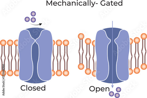 Mechanically Gated Science Design Vector Illustration Diagram