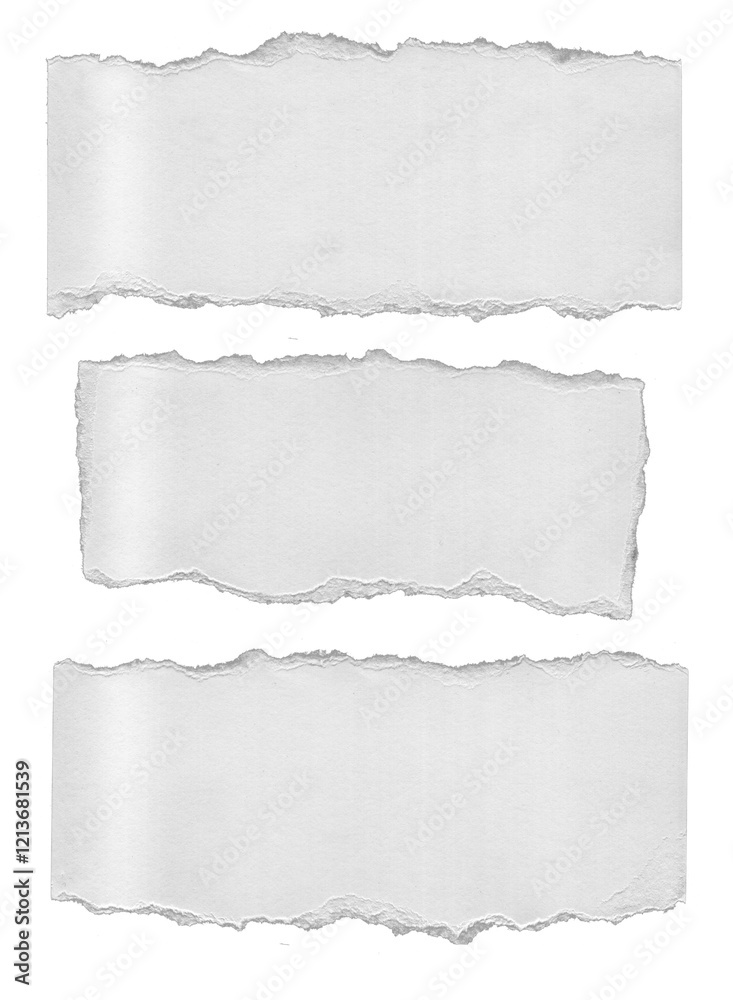 Fototapeta premium Download Ripped Paper Texture Transparent 