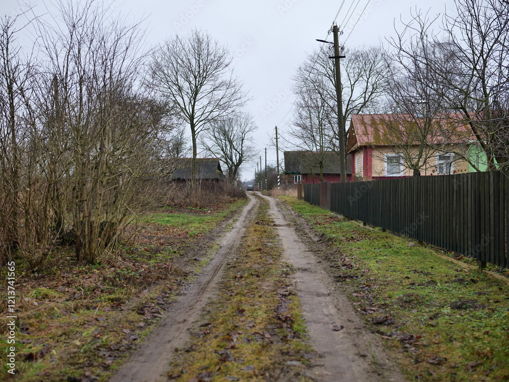 Fototapeta premium A serene and peaceful rural pathway surrounded by nature in overcast weather and clouds
