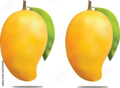 Realistic Ripe Mangoes Vector Illustration 