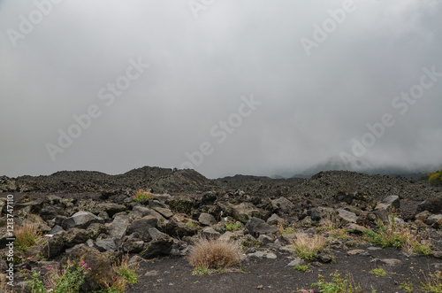 A distinctive and phenomenal landscape on Mount Etna in Sicily photo