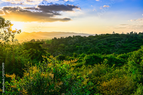 2025-01-04 VIEW OF LUSH GREENERY AND MOUNTAINS AT SUNSET IN KAREN KENYA photo