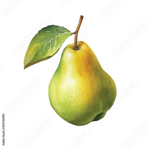 watercolor Pear isolated white background