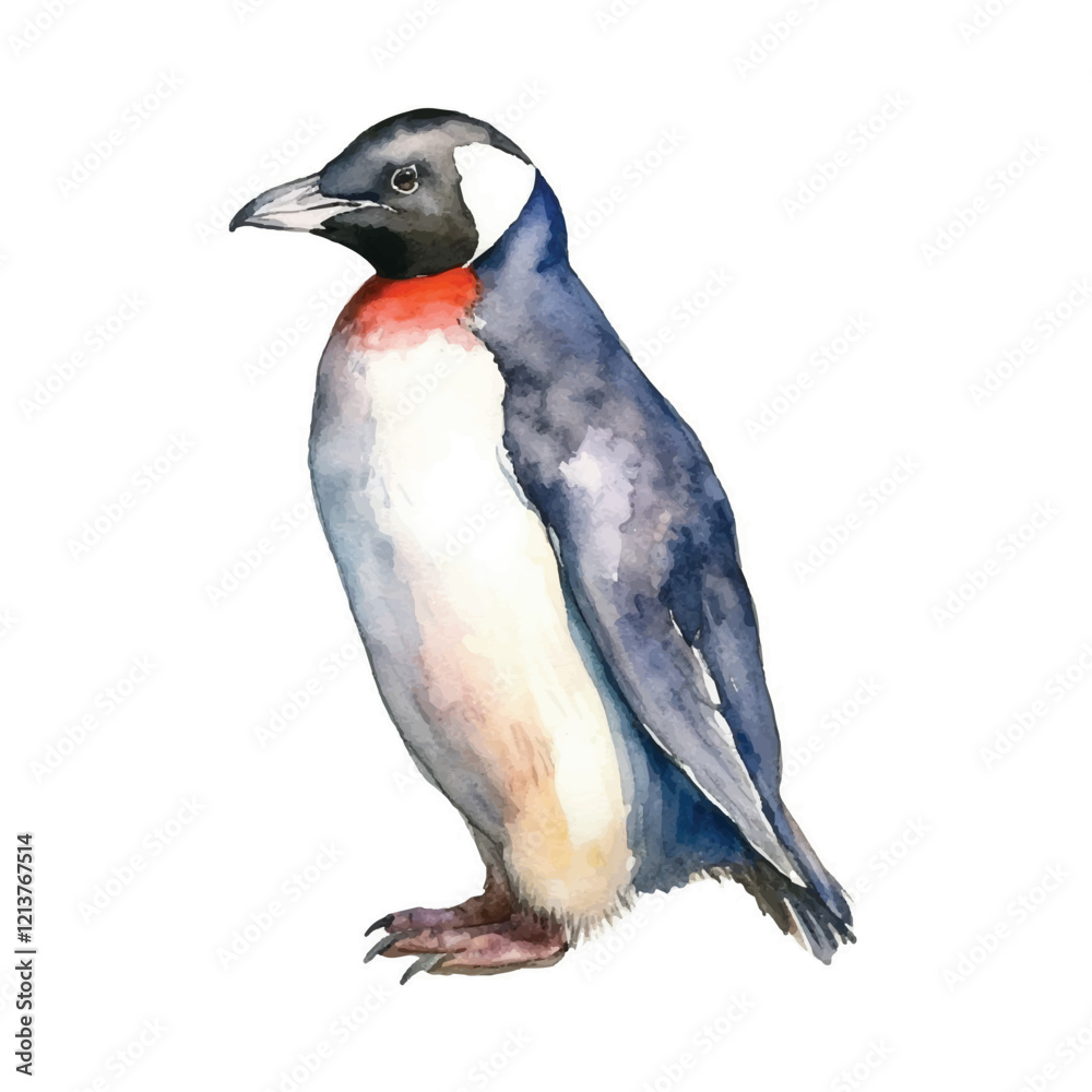 Fototapeta premium watercolor Penguin isolated white background