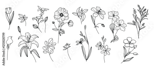 Set of hand drawn botanical flower line art vector. Collection black white contour drawing of foliage, wildflower, poppy, peony, eucalyptus. Illustration design for logo, wedding, invitation, decor.