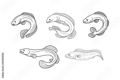 Eel Fish line art