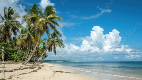 A scenic tropical background featuring clear blue skies, sandy beaches, and gently swaying palm trees. photo