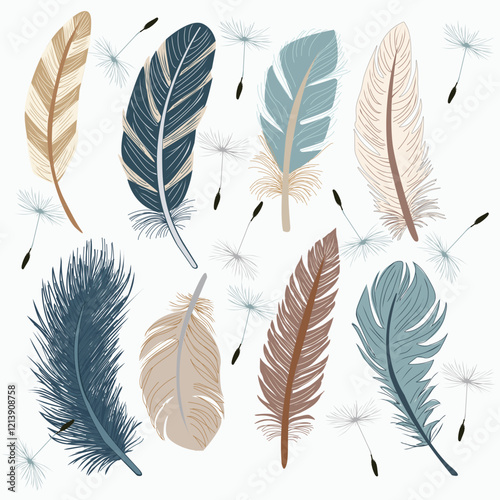 Collection Illustration of various of bird feathers