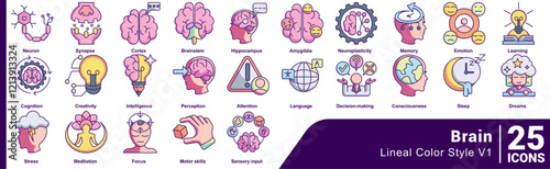 Brain icon set 25 in lineal Color style
