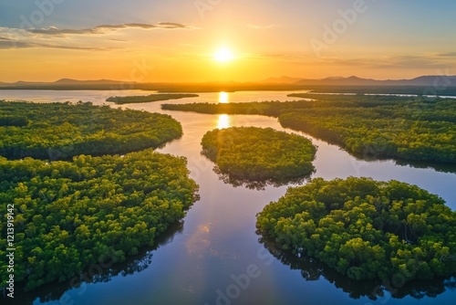 Dense mangrove forest, morning light, mangrove forest in a wide river area, photo from a top angle photo