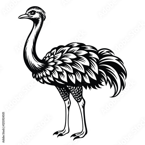  ostrich Black and white vector illustration animal silhouette for t shirt 