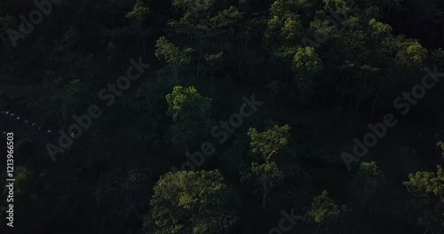Merapi Volcano Central Java Indonesia