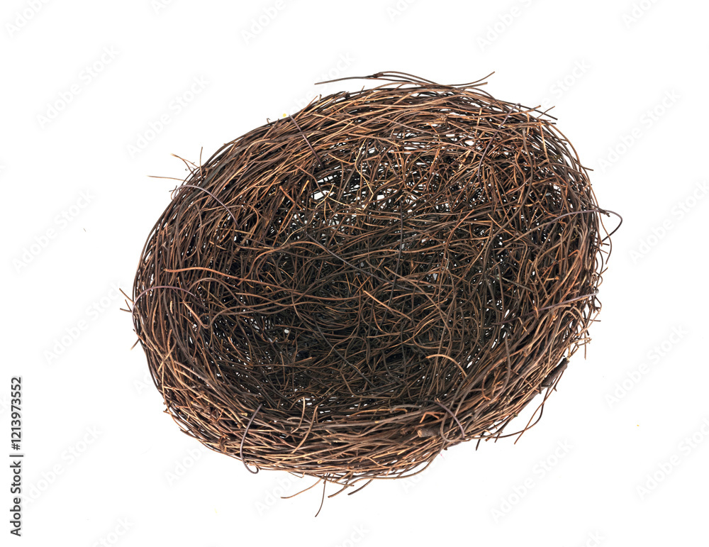 Obraz premium nest in studio