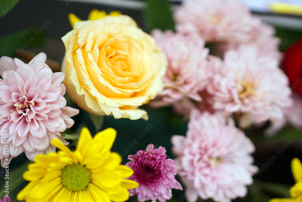 Fototapeta premium a bouquet of roses and chrysanthemums, looking beautiful