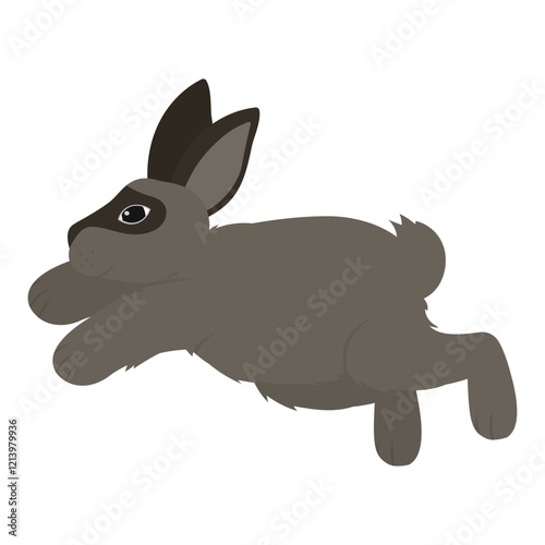 Rabbit Vector Illustration - Jersey Wooly