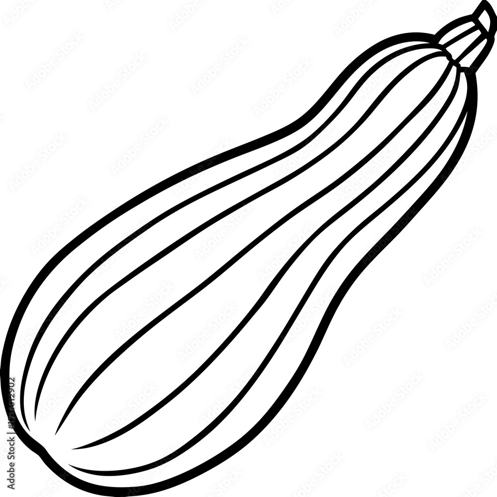 Zucchini Illustration in Vector Style Zucchini Illustration in Vector Style