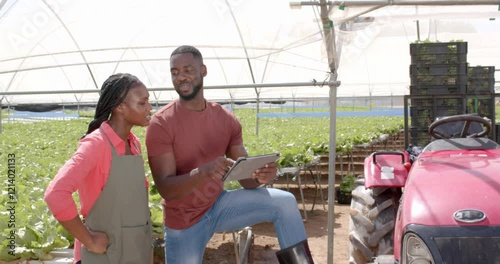 Discussing farm operations, two african american farmers using tablet in hydroponic greenhouse